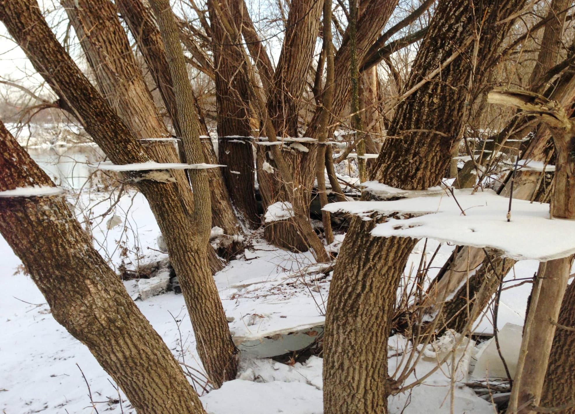 trippy ice effect after flood